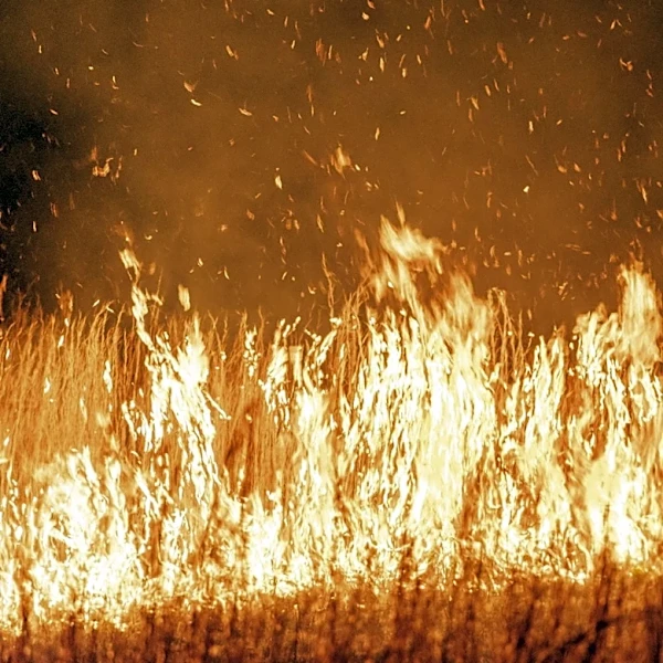 Crow Wing County Wildfire Forces Evacuations as Blaze Grows to 600 Acres