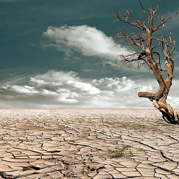 Global Trends in Weather and Climate Extremes Highlighted in IPCC Report