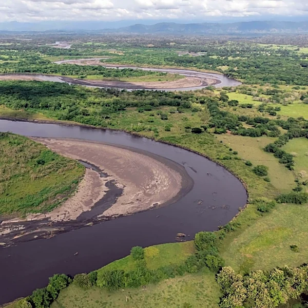 Global Rivers Face Oxygen Depletion Amid Climate Warming