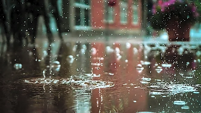 Sudden Downpour Delays Braves vs. Red Sox Game in Atlanta