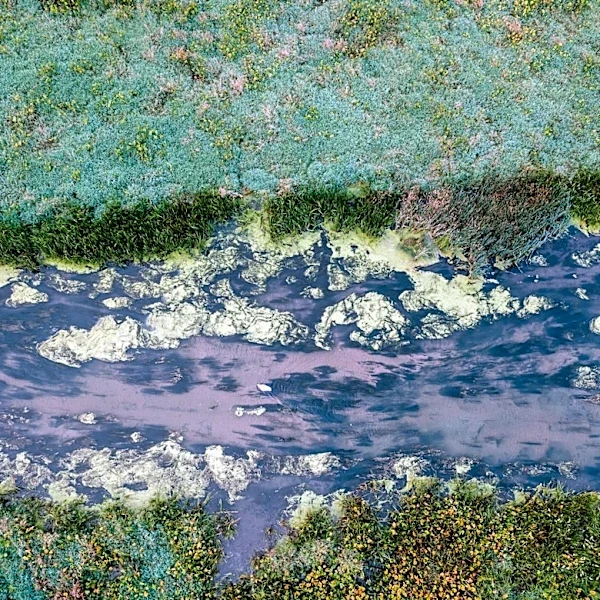 Global Rivers Experiencing Oxygen Decline Due to Climate Change