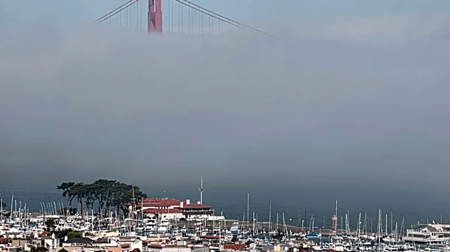 San Francisco: Visibility Alerts Issued for Fog, Smoke, and Haze