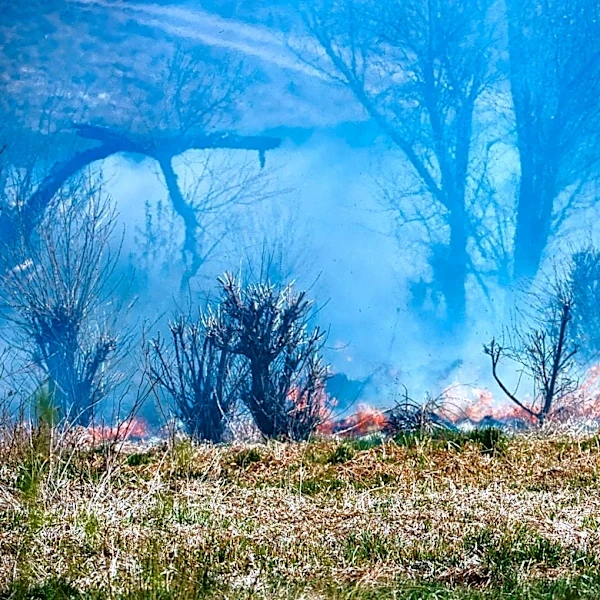 Colorado Experiences Summer-Like Heat with Brush Fire Containment Efforts