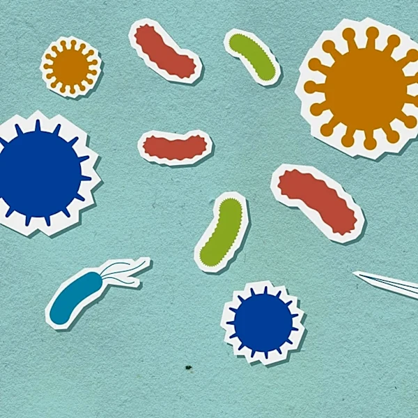 Seasonal Rhythms in Human Immune Response May Impact Vaccine Effectiveness