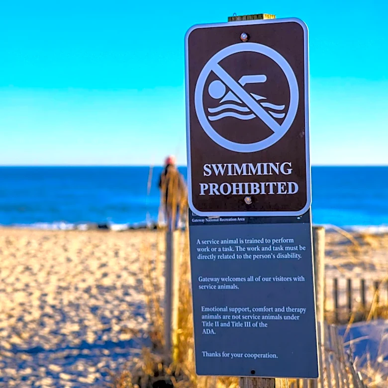 New York Beach Camping Rules for Summer 2026 Explained