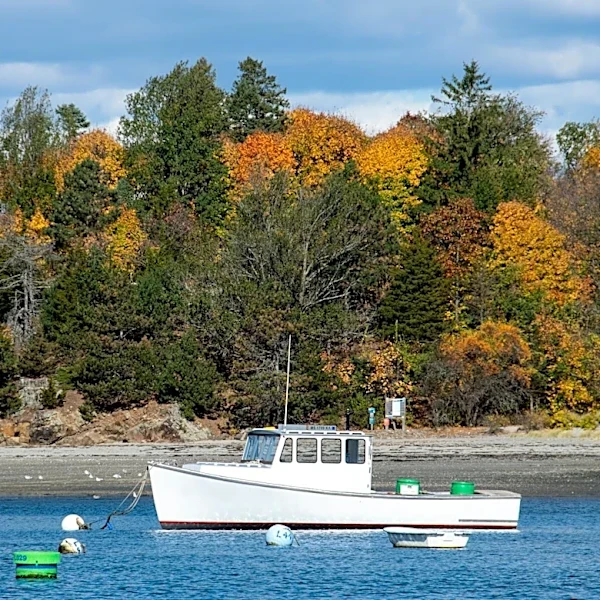 New England Weather: Seasonal Variations in Maine and Massachusetts