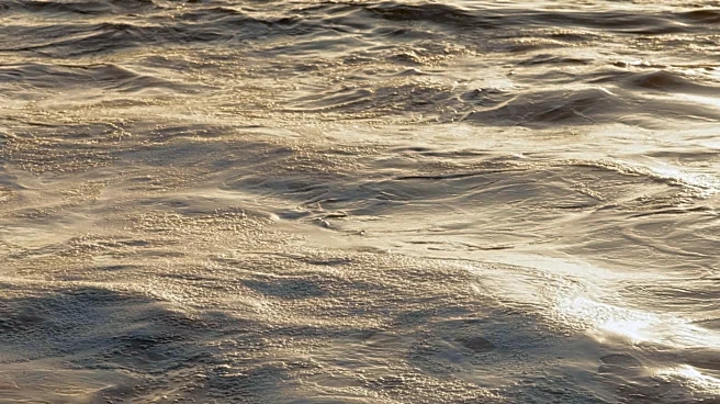 April 2026 Records Second-Highest Global Sea Surface Temperatures