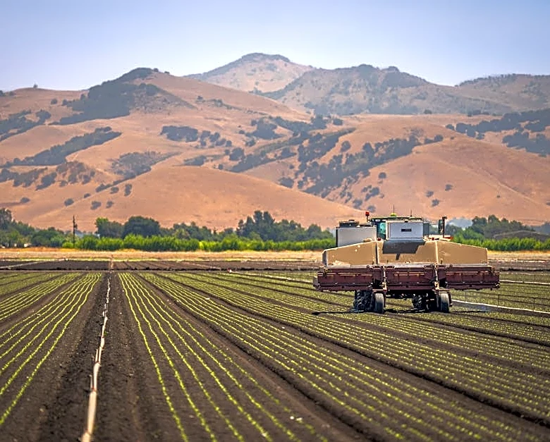 US Farms Deploy Smart Robots to Fight Weeds and Labor Gaps