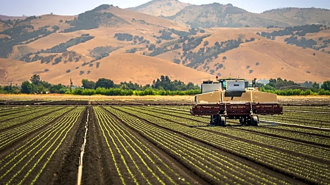 US Farms Deploy Smart Robots to Fight Weeds and Labor Gaps