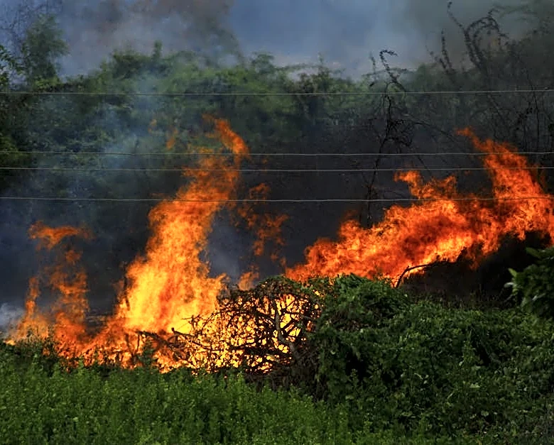 High Wildfire Risk Expands Across Southwest Early Week