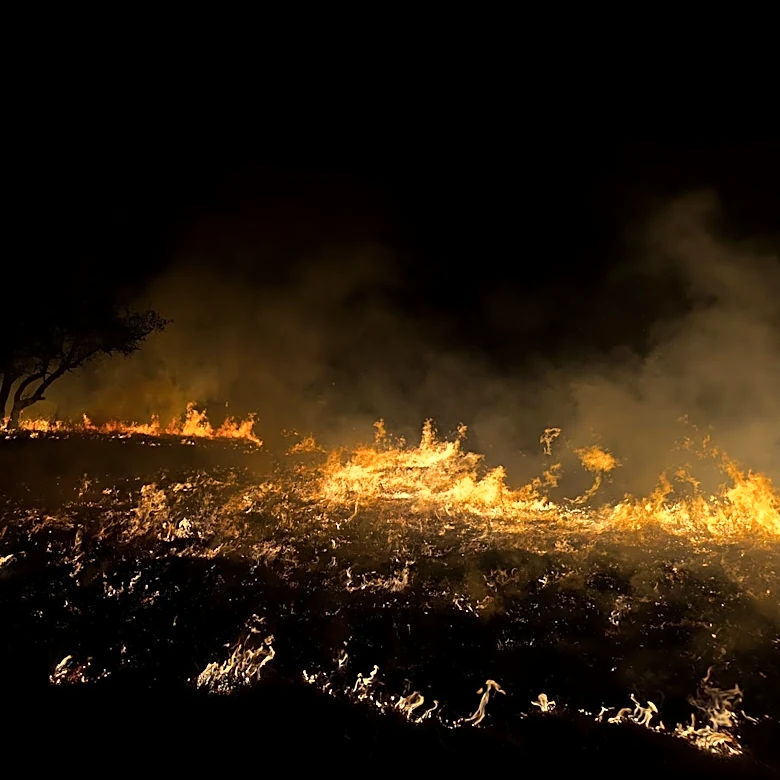 Texas Panhandle Wildfires Burn Over 34,000 Acres, Prompting Urgent Warnings