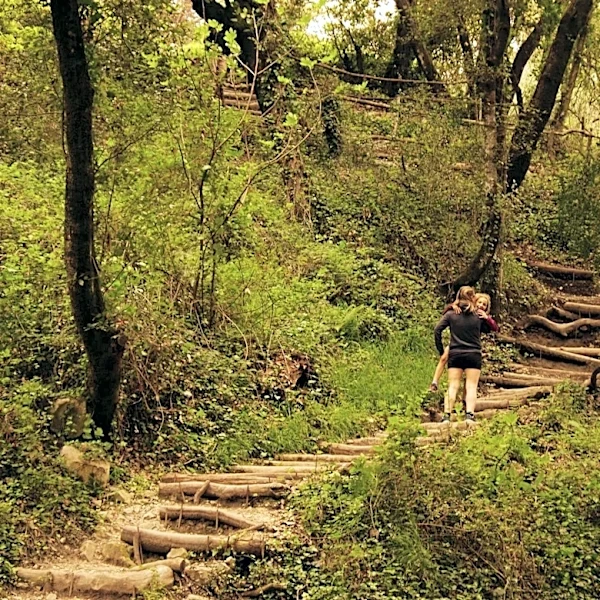 Exploring U.S. Hiking Trails: Weather and Accessibility Insights