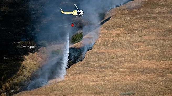 Texas Panhandle Wildfires Scorch Over 34,000 Acres Amid Red Flag Warning