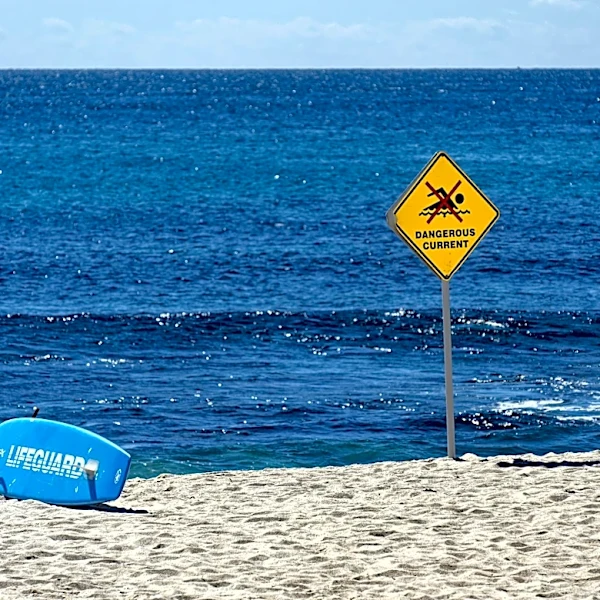Rainy Season Kicks Off in South Florida with Showers, Storms, and High Surf