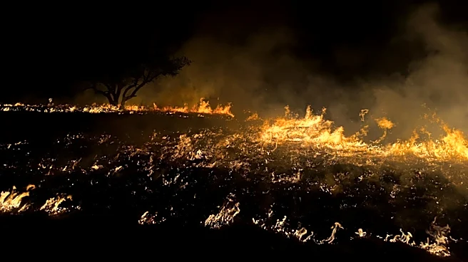 Texas Panhandle Wildfires Prompt Statewide Agricultural Aid