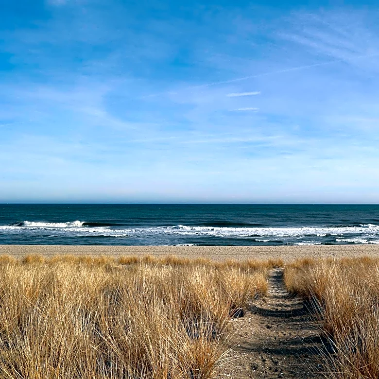 Early Summer Weather Boosts Business on the Jersey Shore