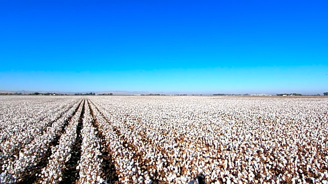 San Joaquin Valley Faces Increased Risk of Valley Fever Amid Seasonal Changes