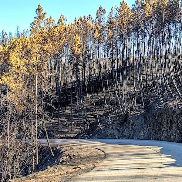 Weaker Santa Ana Winds Expected Amid Sandy Fire in Simi Valley