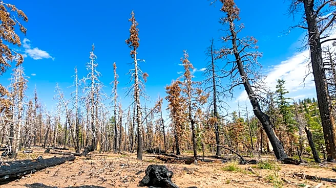 USDA Reopens Conservation Aid for Disaster Recovery in Connecticut