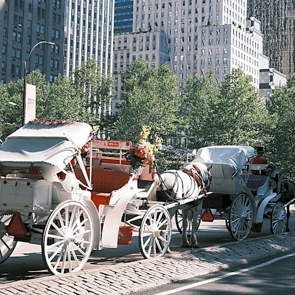 New York City Summer Attractions Highlighted for 2026