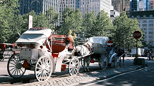 New York City Summer Attractions Highlighted for 2026