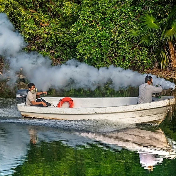 CDC Highlights Dengue Risk in Popular Travel Destinations