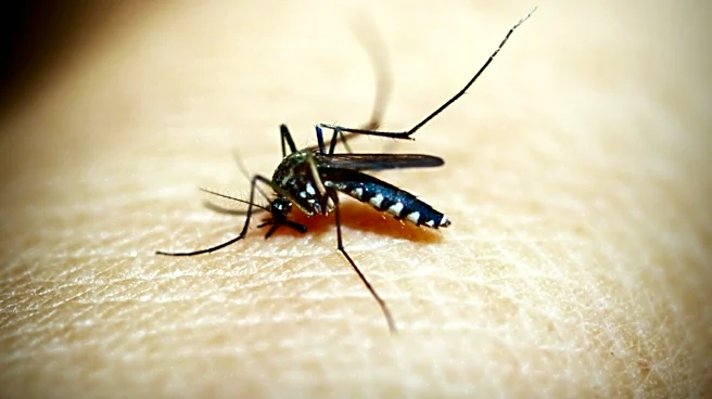 Consumer Reports Identifies Top Bug Repellents for Summer 2026
