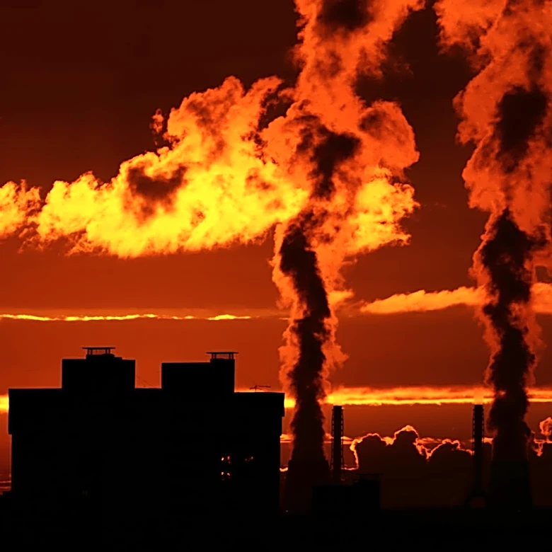 Urban Heat and Air Quality Variations Linked to Street Networks