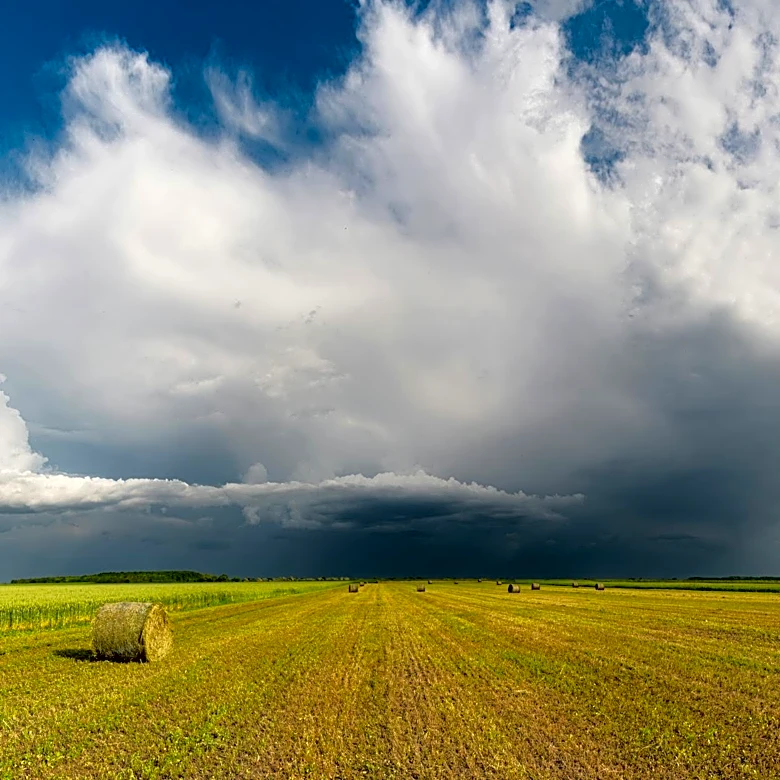 USDA Programs Offer Support to Mississippi Farmers Affected by Severe Weather
