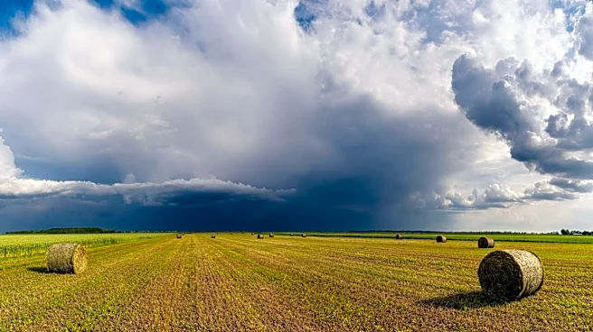 USDA Programs Offer Support to Mississippi Farmers Affected by Severe Weather