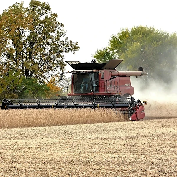 Illinois Farmers Make Progress Amid Warmer Weather and Rain