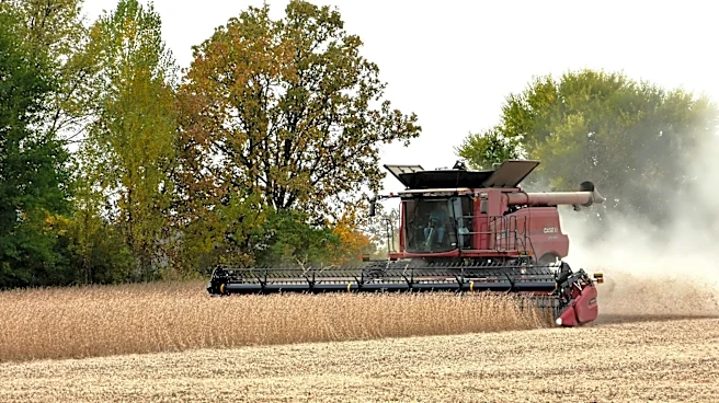 Illinois Farmers Make Progress Amid Warmer Weather and Rain