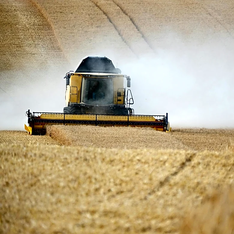 Severe Weather Devastates Wheat Crops Across Kansas and Midwest