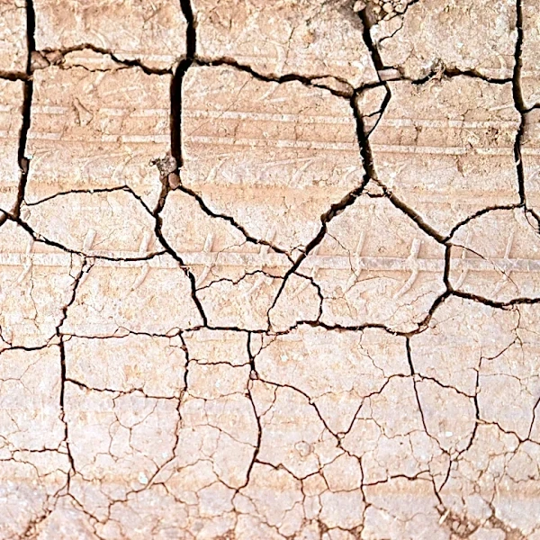 Grundy County Farmers Face Delays Due to Rain and Cool Soil Temperatures