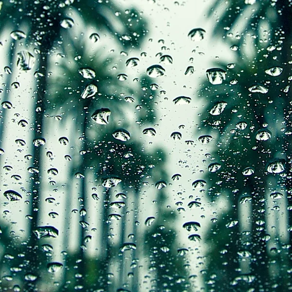 Warm and Humid Conditions Persist in South Florida with Low Rain Chances