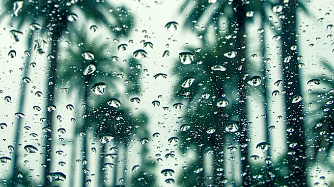 Warm and Humid Conditions Persist in South Florida with Low Rain Chances