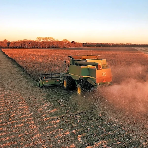 Wild Weather Devastates Wheat Crops Across Kansas and Midwest