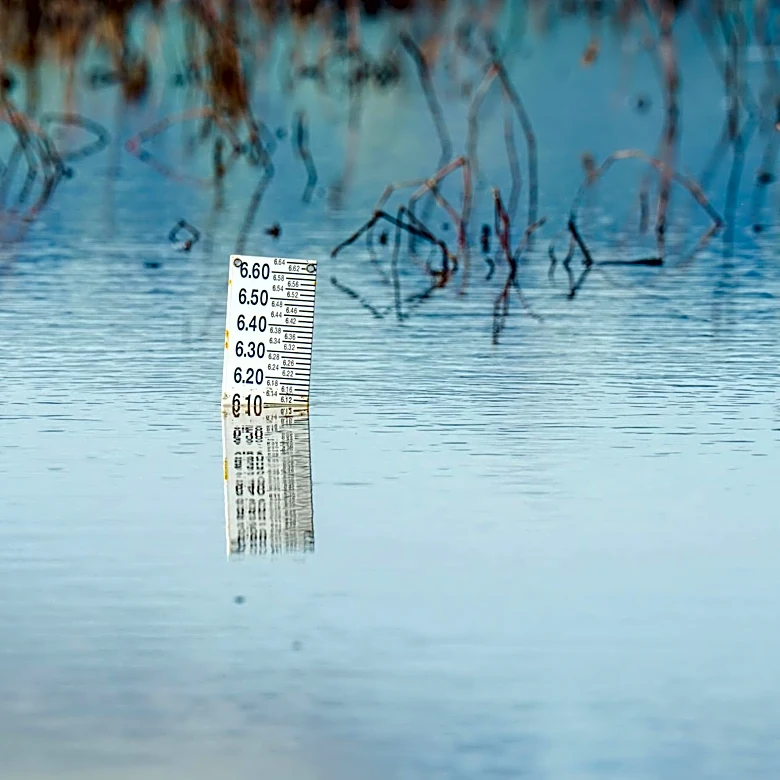 Sea Level Rise Threatens Mid-Atlantic Farmland at Accelerated Rates