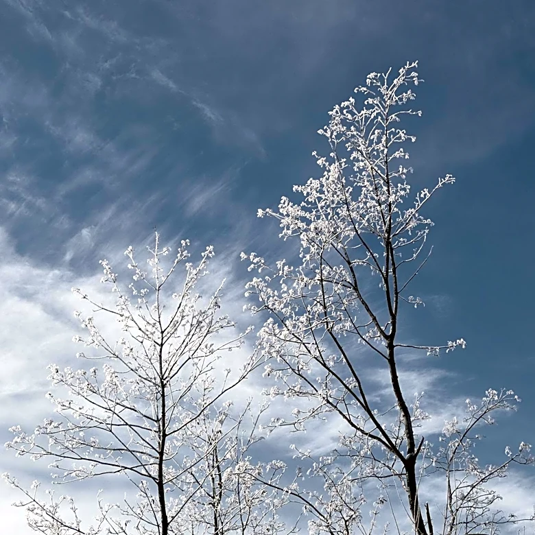Chicago Weather: Clear Skies and Cooler Temperatures Expected