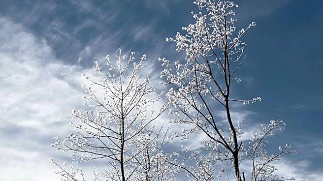 Chicago Weather: Clear Skies and Cooler Temperatures Expected