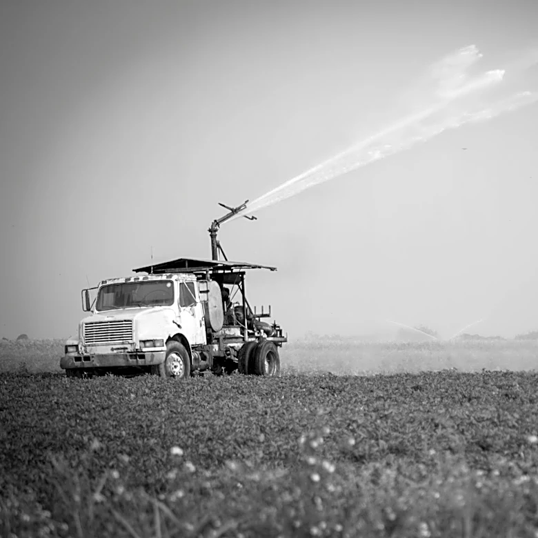 Florida Agriculture Faces $3 Billion Losses from Recent Freezes