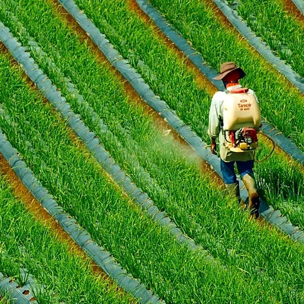 Dirty Dozen list sparks fresh food safety concerns