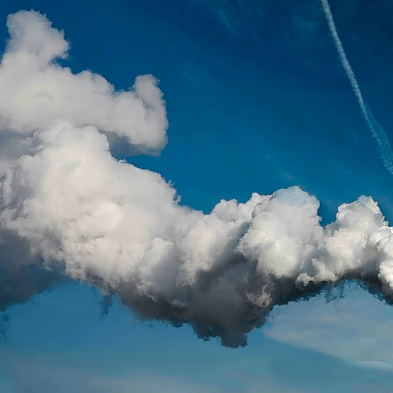 Portland, Oregon's Climate Fund Drives Local Adaptation and Emission Reductions