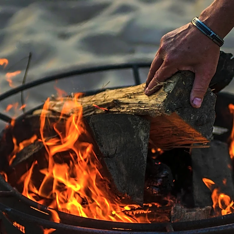 Michigan Warns Campers: Invasive Pests Threaten Agriculture via Firewood Movement