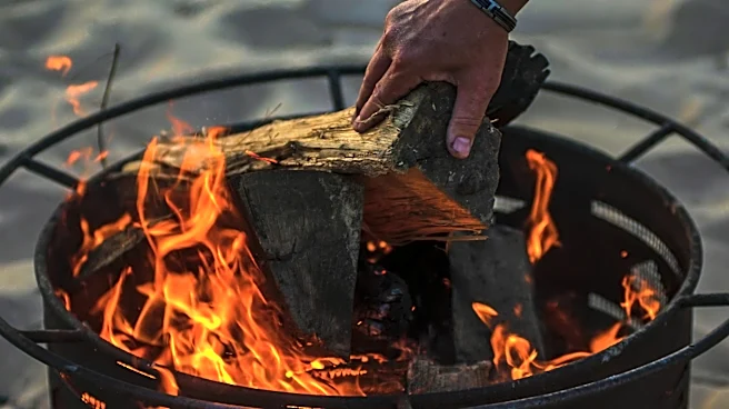 Michigan Warns Campers: Invasive Pests Threaten Agriculture via Firewood Movement