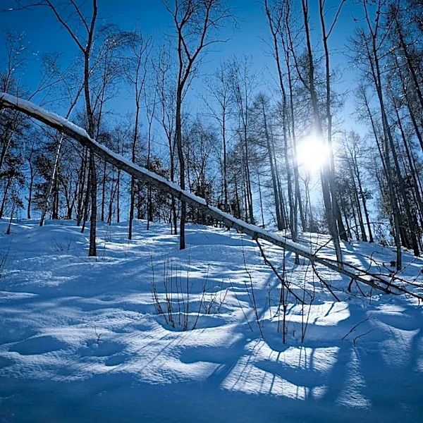 Sunny and Mild Weather in Minnesota on May 20, 2026