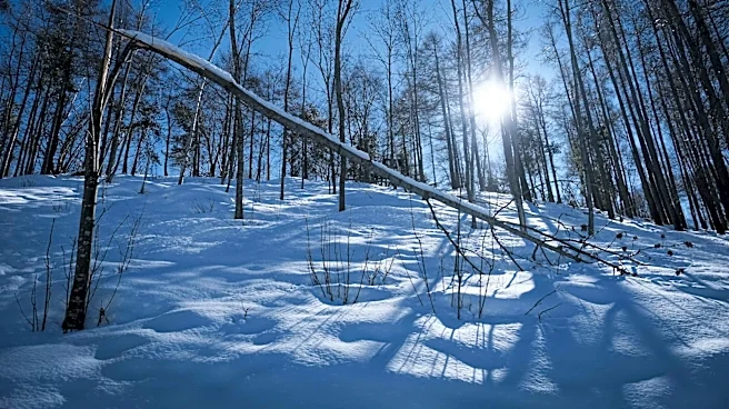 Sunny and Mild Weather in Minnesota on May 20, 2026
