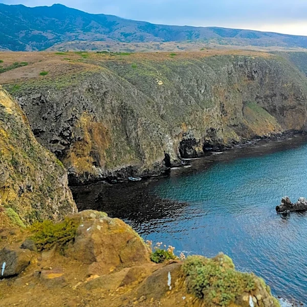 Santa Rosa Island Wildfire Burns Over 16,000 Acres, Threatens Rare Ecosystems