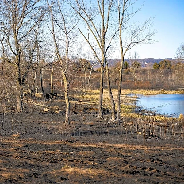 Minnesota Residents Return Home After Wildfires Scorch North Shore Communities