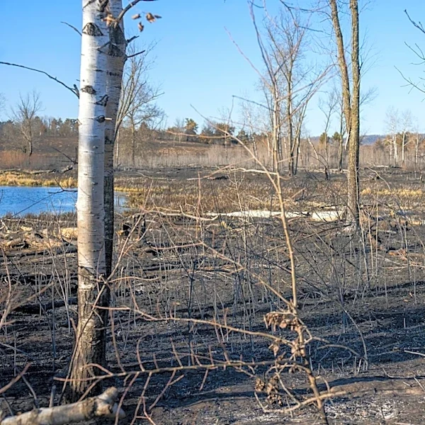 Minnesota Residents Return Home After Wildfires Scorch North Shore